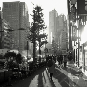 David Havelík - Tokyo-Shinjuku