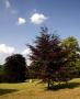 Orlický park