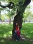 Very nice - tree
