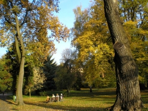 Stromy v krajině - V parku