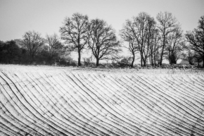 Zimní království - Fotograf roku - Kreativita - III.kolo - Zimní pole
