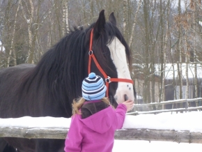 Svět zvířat - Sestra a její oblíbený kůň