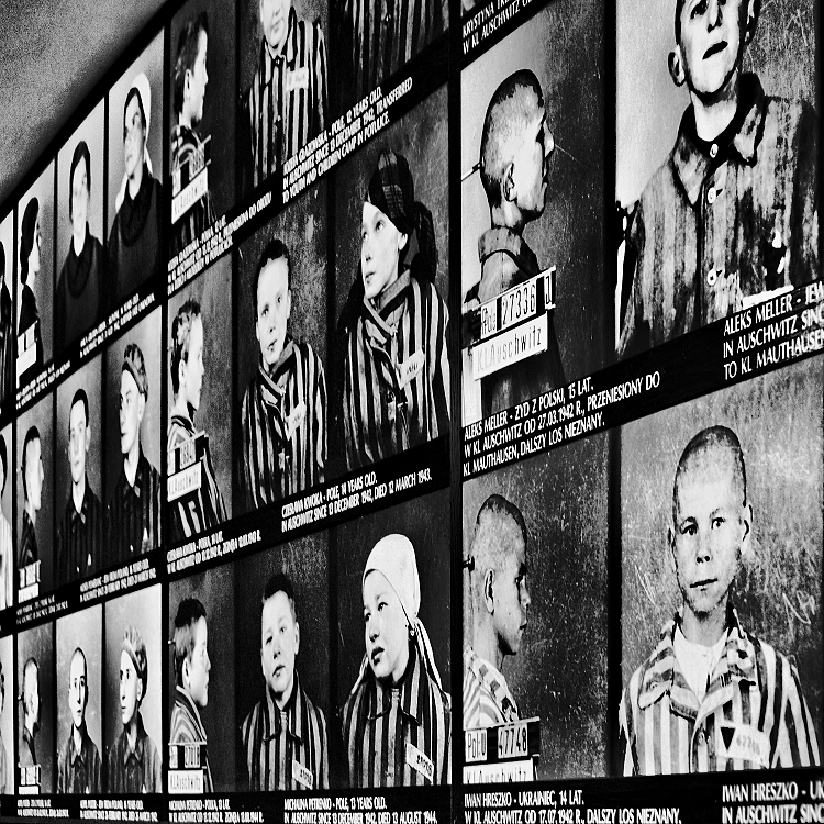 Auschwitz-Birkenau 12