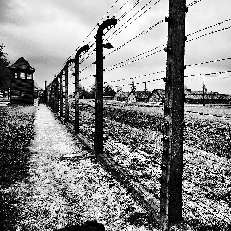 Auschwitz-Birkenau 25