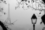 Martin Šulc - Le Brouillard
