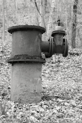 Černobílý svět - Nepoužívaný hydrant v lese