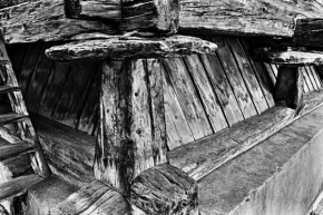 Černobílý svět - Podsada dřevěné chaty