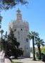 Gabriela Bayerová - Torre del Oro