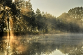 Fotograf roku v přírodě 2014 - Ráno u vody
