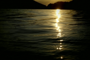 Fotograf roku v přírodě 2014 - Když slunce umí běhat po vodě