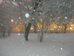Kouzlení zimy - Sněží v městském parku