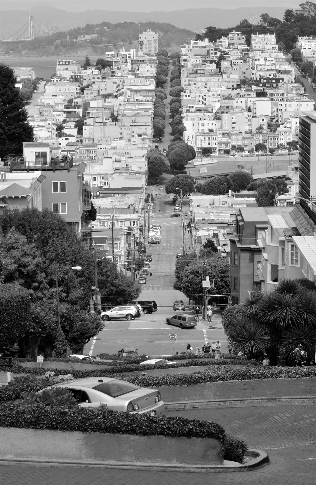 view from Lombard street
