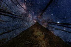 Krajina stínů a hvězd - Fotograf roku - Kreativita - II.kolo -  Pyramida boha stromů