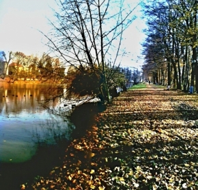 Šárka Nováková - Cesta kolem rybníka