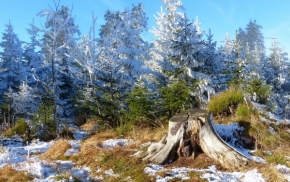 Fotograf roku v přírodě 2015 - mezi podzimem a zimou