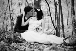 Svatby a oslavy - V temném lese