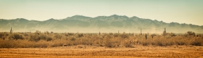 Fotograf roku na cestách 2015 - Na poušti v Arizoně