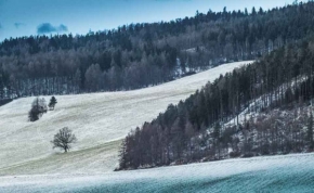 Fotograf roku v přírodě 2015 - První sníh