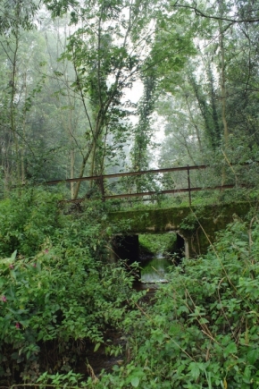Divoká příroda - Spící most