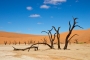 Pavel Pešek - Namib 2
