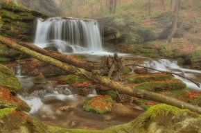 Divoká příroda - Vodopád Skalního potoka