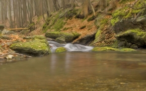Divoká příroda - Skalní potok