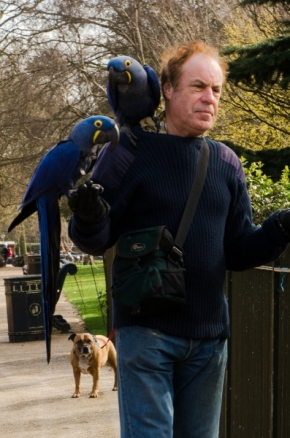 Michal Šturdík - Birdman in Hyde Park