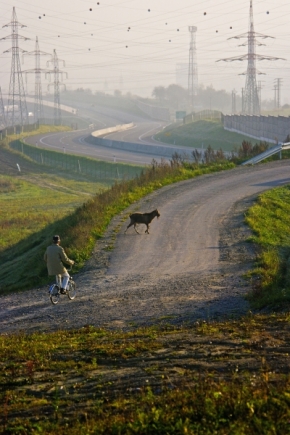 Ján Šulik - Pásol kozu na asfalte