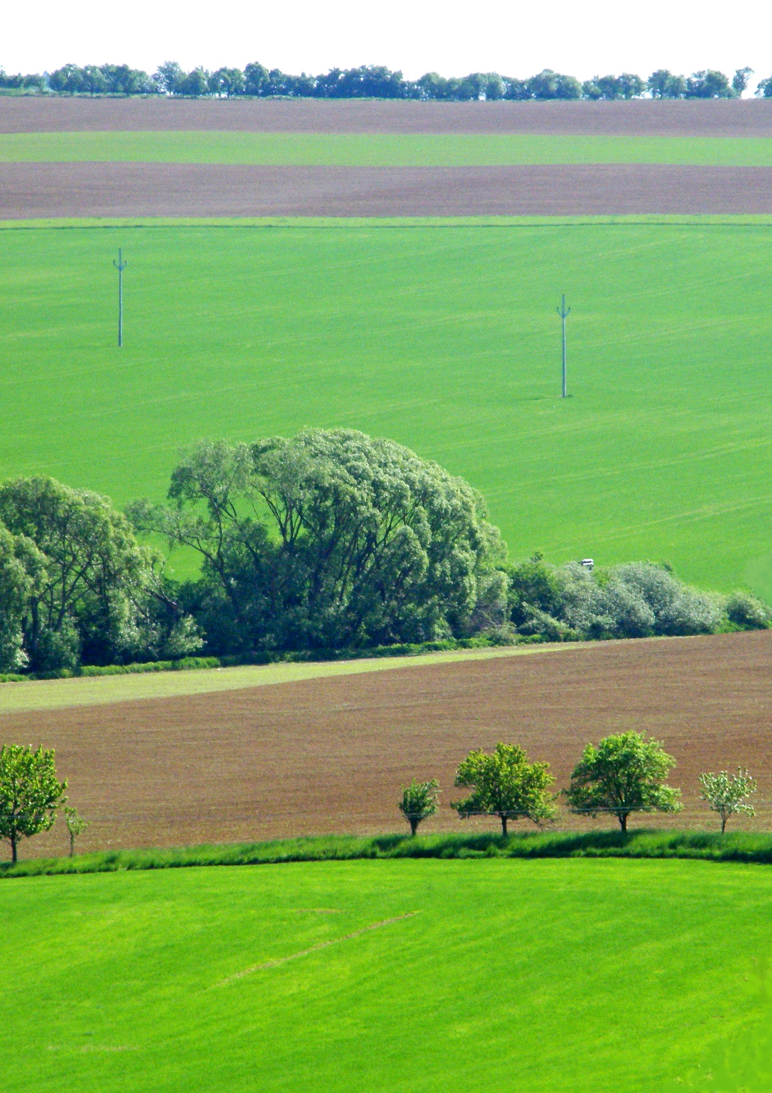 Krajina v zeleném