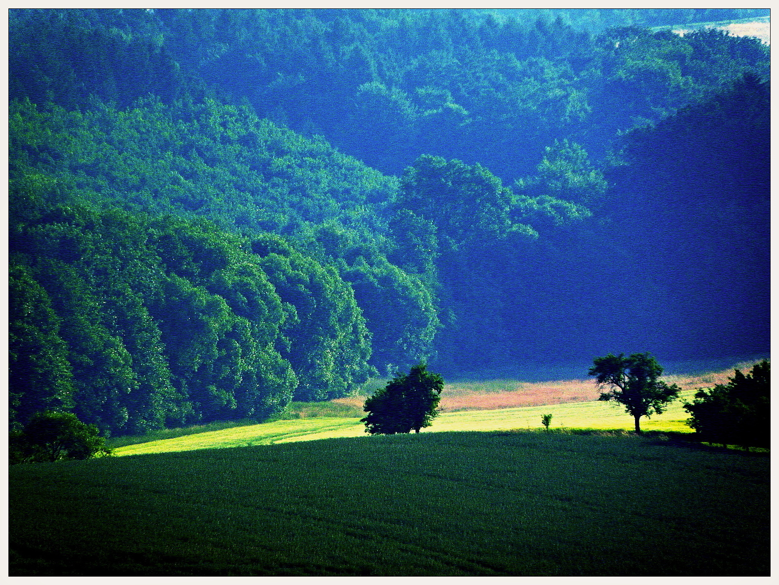 Zelené údolí