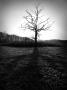 BwtreeII