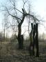 Totem