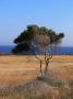 Capo Greco