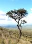 Mt. Longonot