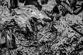 Černobílá krása - U vody 2