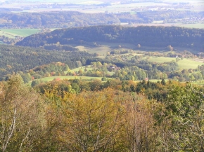 Stromy v krajině - Podzim v kraji