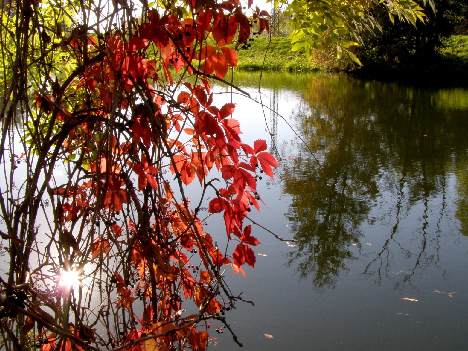 Podzim nad řekou