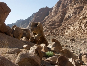 Má nejkrásnější krajina - Egypt - Divoká ,drsná,vyprahlá ale přesto krásná Sinaj