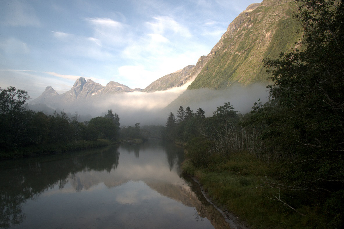mlha nad fjordem