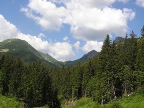 Lucia Sádecká - Hory, lesy