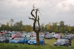 Stromy v krajině - Sám bez listí a ještě tolik aut