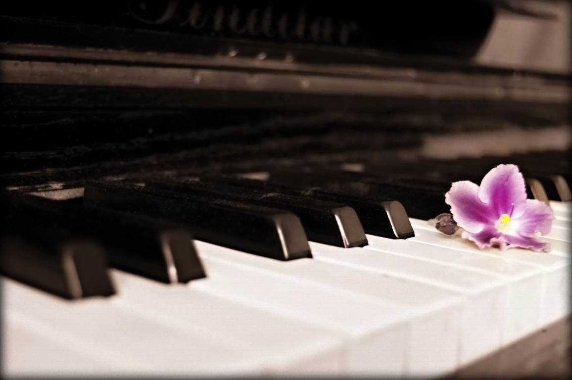Klavír s květinou