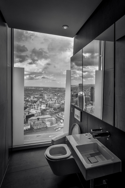 Toilet with a view