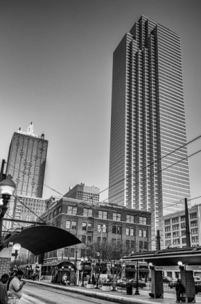 Architektura krásná a účelná - Dallas