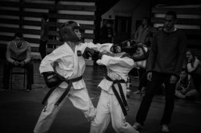 Michal Kravec - taekwondo