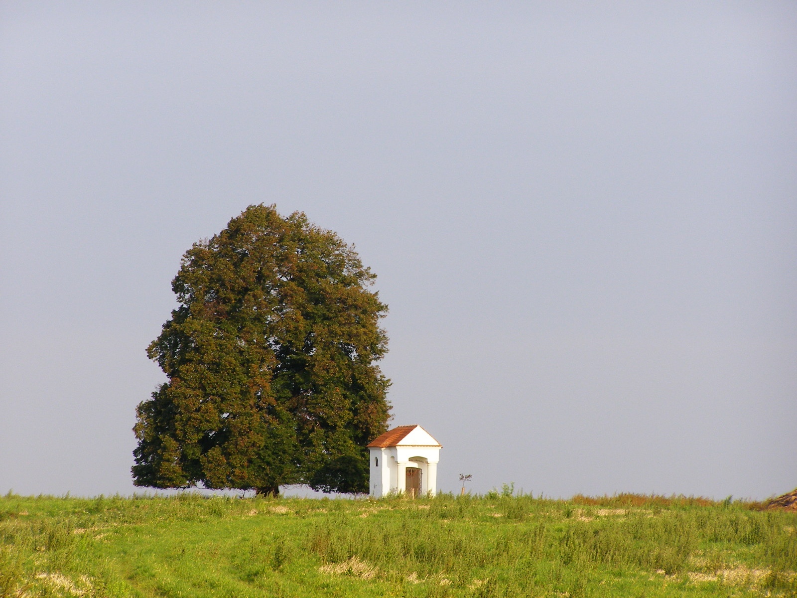 Strom s kaplí