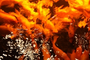 Abstraktní fotografie - rybí oheň