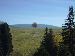 Stromy v krajině - Sám