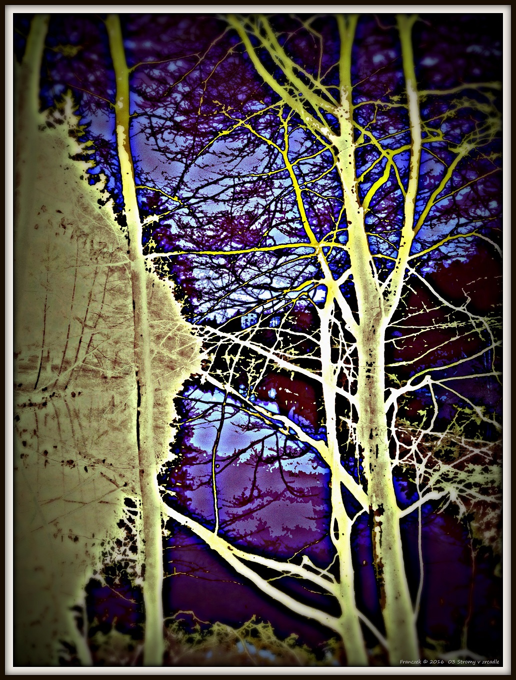 Stromy v zrcadle