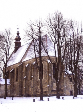 Stromy v krajině - Slavonice - kostel Božího Těla